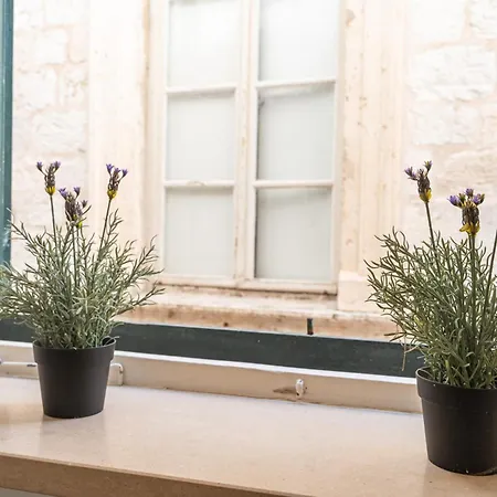 Kenova Old Town Apartment