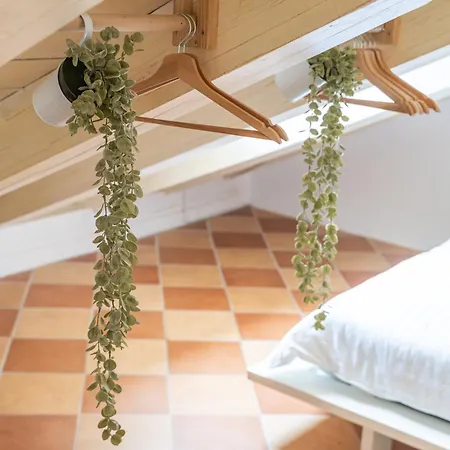 Apartment Kenova Old Town