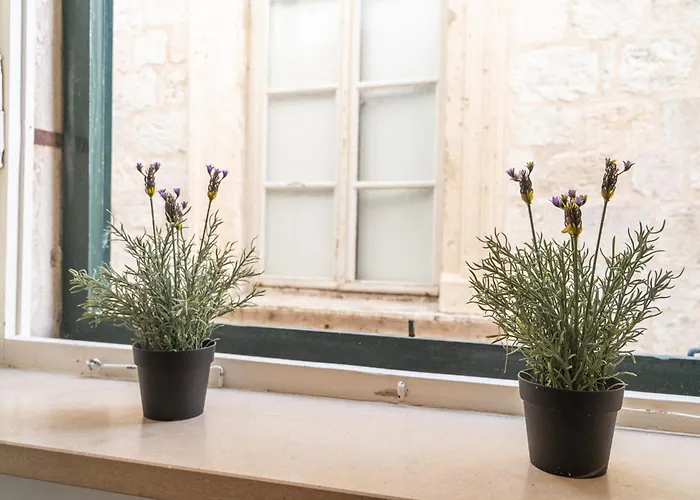 Kenova Old Town 公寓