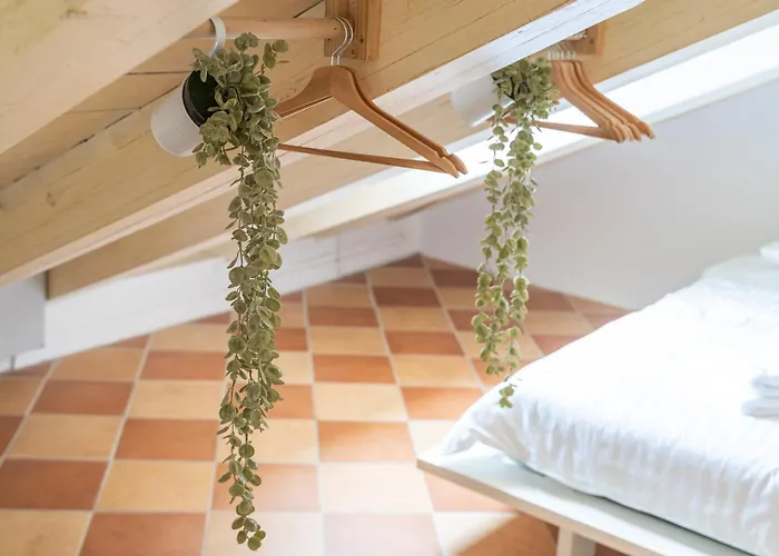 Apartment Kenova Old Town