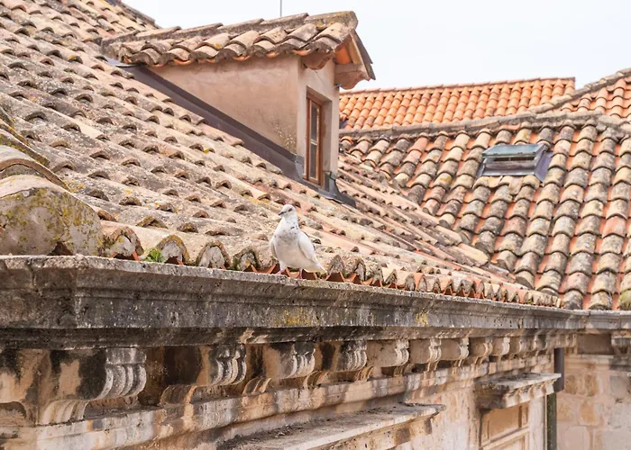 Kenova Old Town 公寓 杜布罗夫尼克