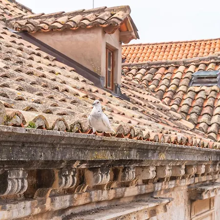 Kenova Old Town Daire Dubrovnik